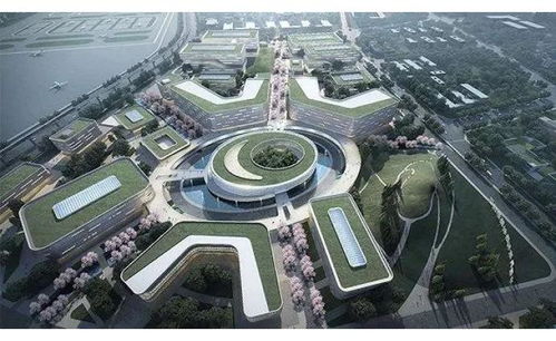 澎湃新聞 專注時(shí)政與思想 thepaper.cn